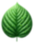 خدماتنا