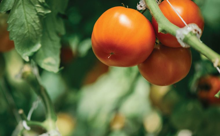 There are many variations of passages of Lorem Ipsum available, but majority have suffered teration in some form, by injected humour, or randomised words which don't look even slight believable. If you are going to use a passage of Lorem Ipsum.